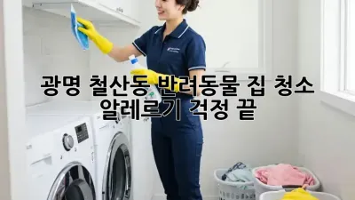 광명 철산동 반려동물 집 청소, 알레르기 걱정 끝!