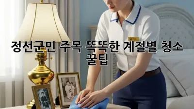 🏡 정선군민 주목! 똑똑한 계절별 청소 꿀팁 🍯