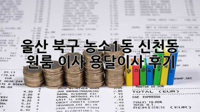 울산 북구 농소1동 신천동 원룸 이사? 용달이사 후기!